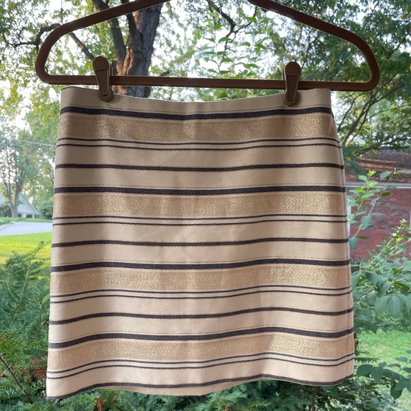 💋 Gorgeous J. Crew Skirt! - Picture 4 of 6
